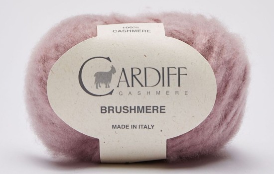 Cardiff Brushmere