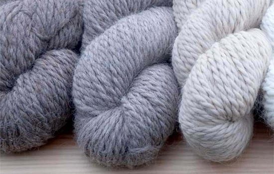 В центре внимания: Pascuali Babyalpaca Los Andes