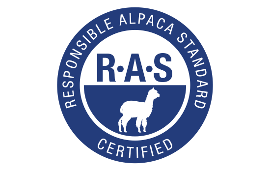 Стандарт RAS