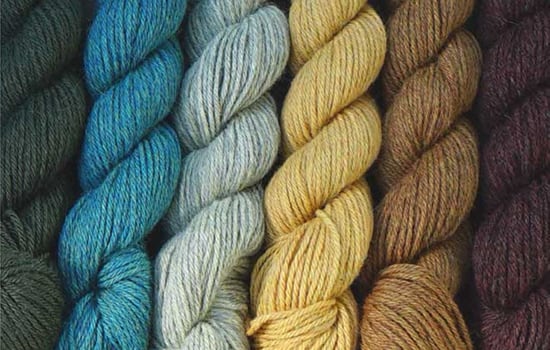 В центре внимания: Pascuali Alpaca Fino