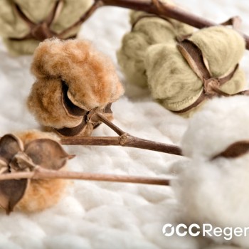 Натурально окрашенный хлопок от LANGYARNS