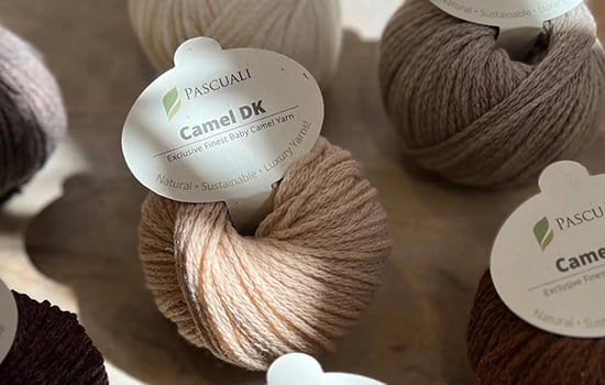 В центре внимания: Pascuali Camel DK