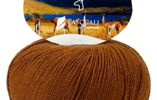 Pascuali VICUÑA