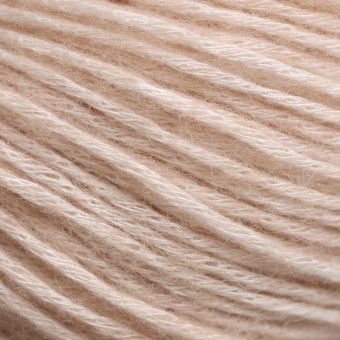Цвет пряжи Aura Yarns Fashion Every Day оттенок 1414 Latte, крупно