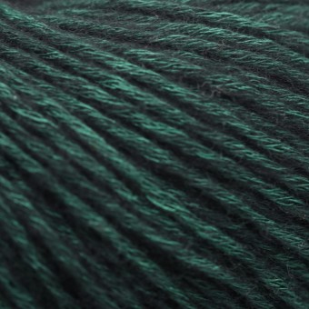 Цвет пряжи Aura Yarns Fashion Space оттенок 1423 Ivy, крупно