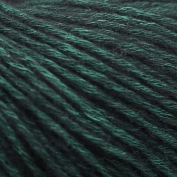 Цвет пряжи Aura Yarns Fashion Space оттенок 1423 Ivy, крупно