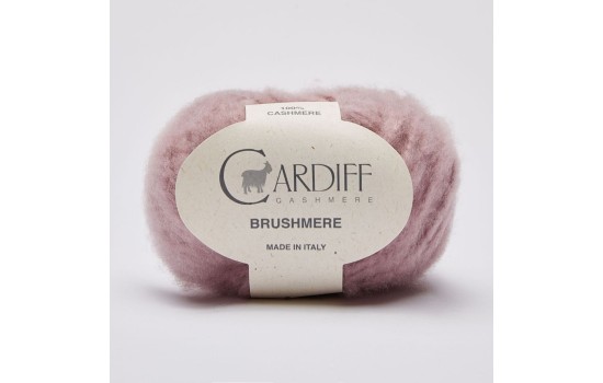 Cardiff Brushmere