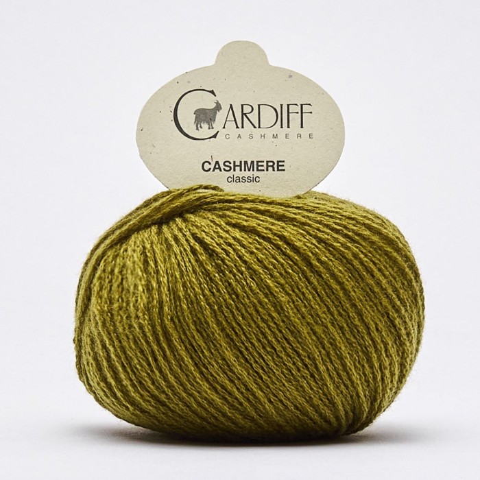 Купить пряжу Cardiff 🧶 Cashmere Classic цвет 570 Yatay 🧡 в Калининграде