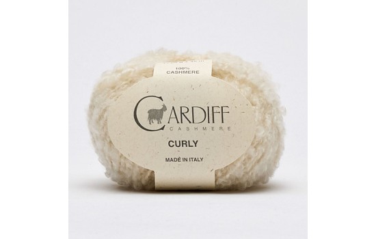 Cardiff Curly