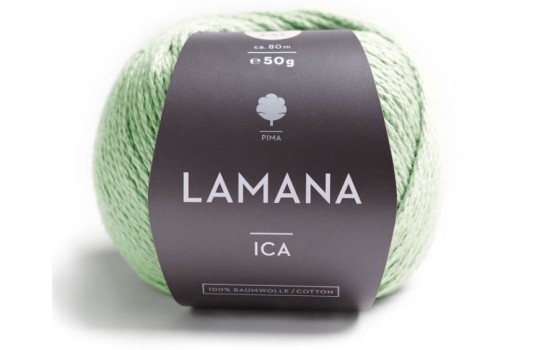 Lamana Ica