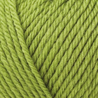 Пряжа Rowan Pure Wool Superwash Worsted цвет Olive 125