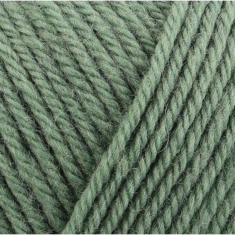 Пряжа Rowan Pure Wool Superwash Worsted цвет Sage 199