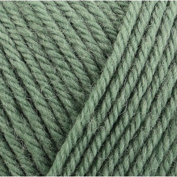 Пряжа Rowan Pure Wool Superwash Worsted цвет Sage 199