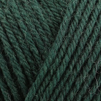 Пряжа Rowan Pure Wool Superwash Worsted цвет Verdant 200