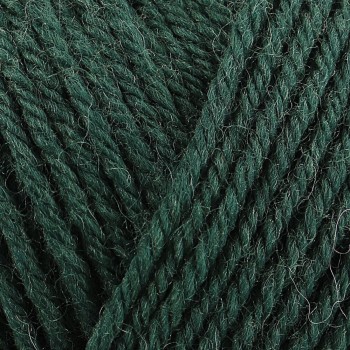 Пряжа Rowan Pure Wool Superwash Worsted цвет Verdant 200