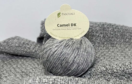 Pascuali Camel DK