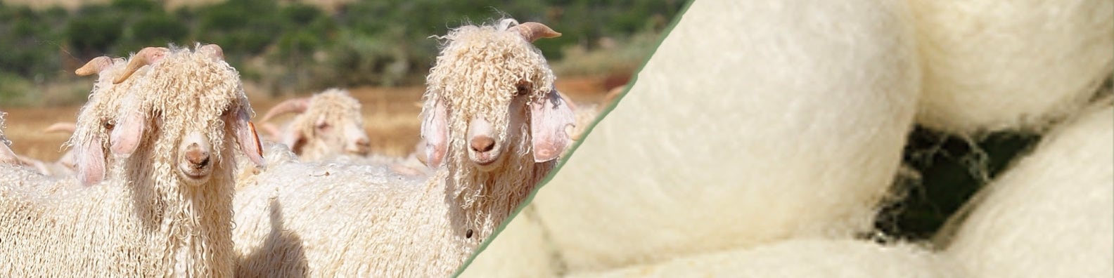 Вязание из Mohair Bliss — лёгкое кружевное полотно