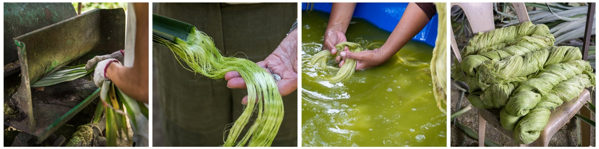 Основой пряжи LANG YARNS ANANAS является волокно из листьев ананаса AnamPALF